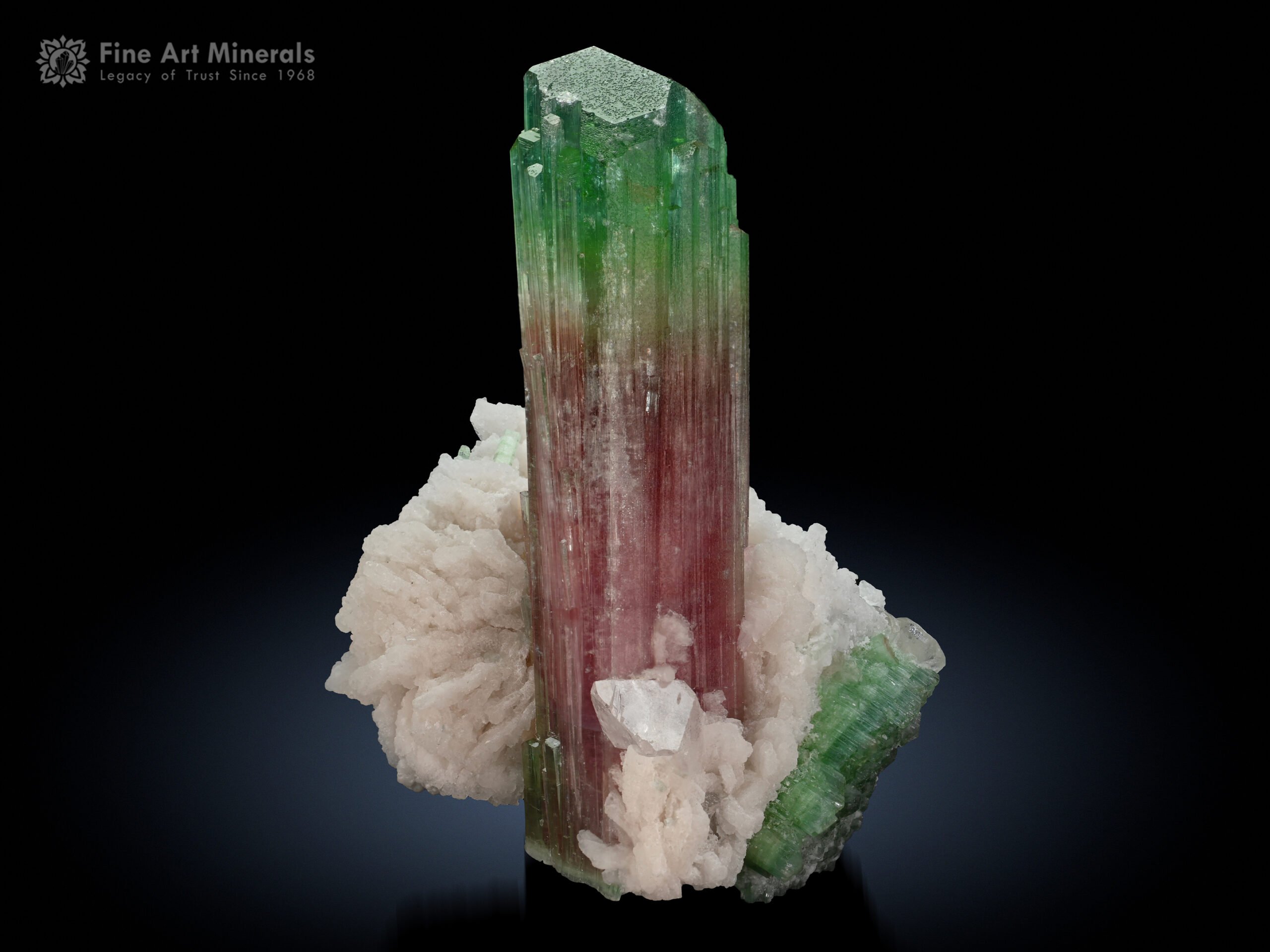Tourmaline with Albite from Paprok Afghanistan