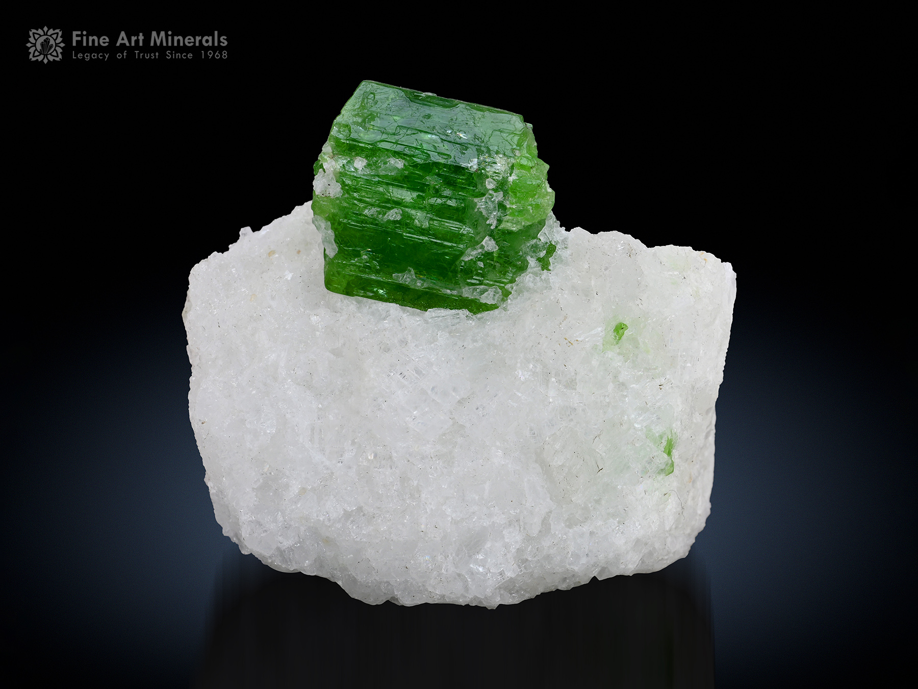 Pargasite Crystal on Matrix from Pakistan