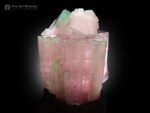 Tourmaline Crystal from Paprok Afghanistan