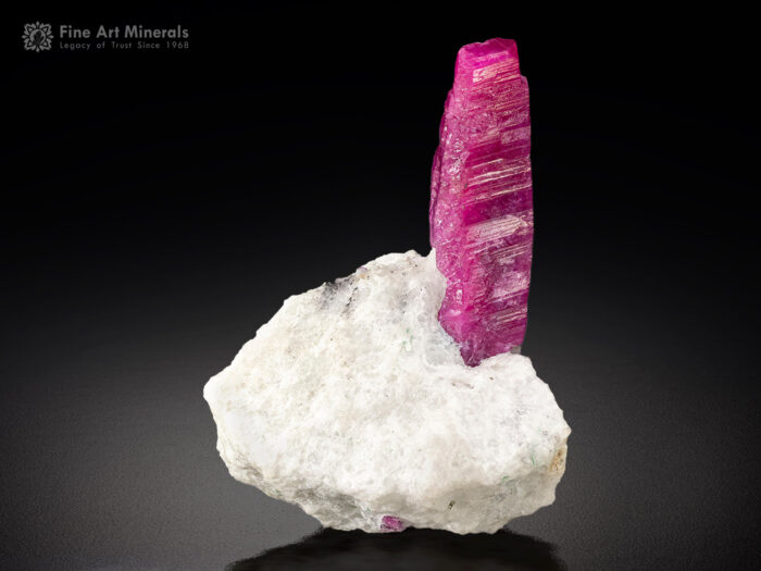 Ruby on Matrix from Pakistan