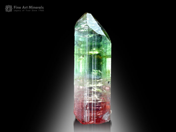 Bi Color Tourmaline Crystals from Afghanistan