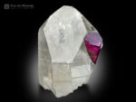 Bi Color Tourmaline on Quartz from Brazil