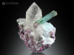 Tourmaline with Quartz from Brazil