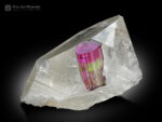 Bi Color Tourmaline on Quartz from Brazil