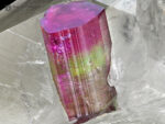 Bi Color Tourmaline on Quartz from Brazil