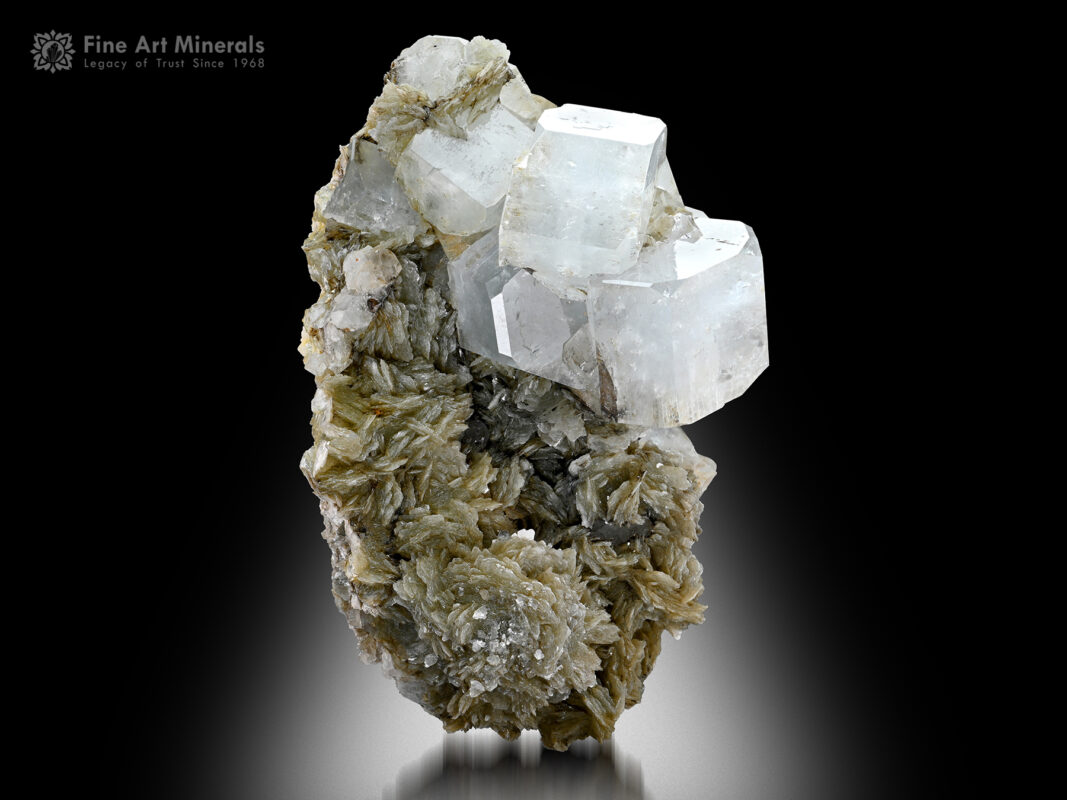 Apatite cluster on Muscovite from Pakistan