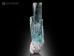 Aquamarine Crystal with Schorl and Albite