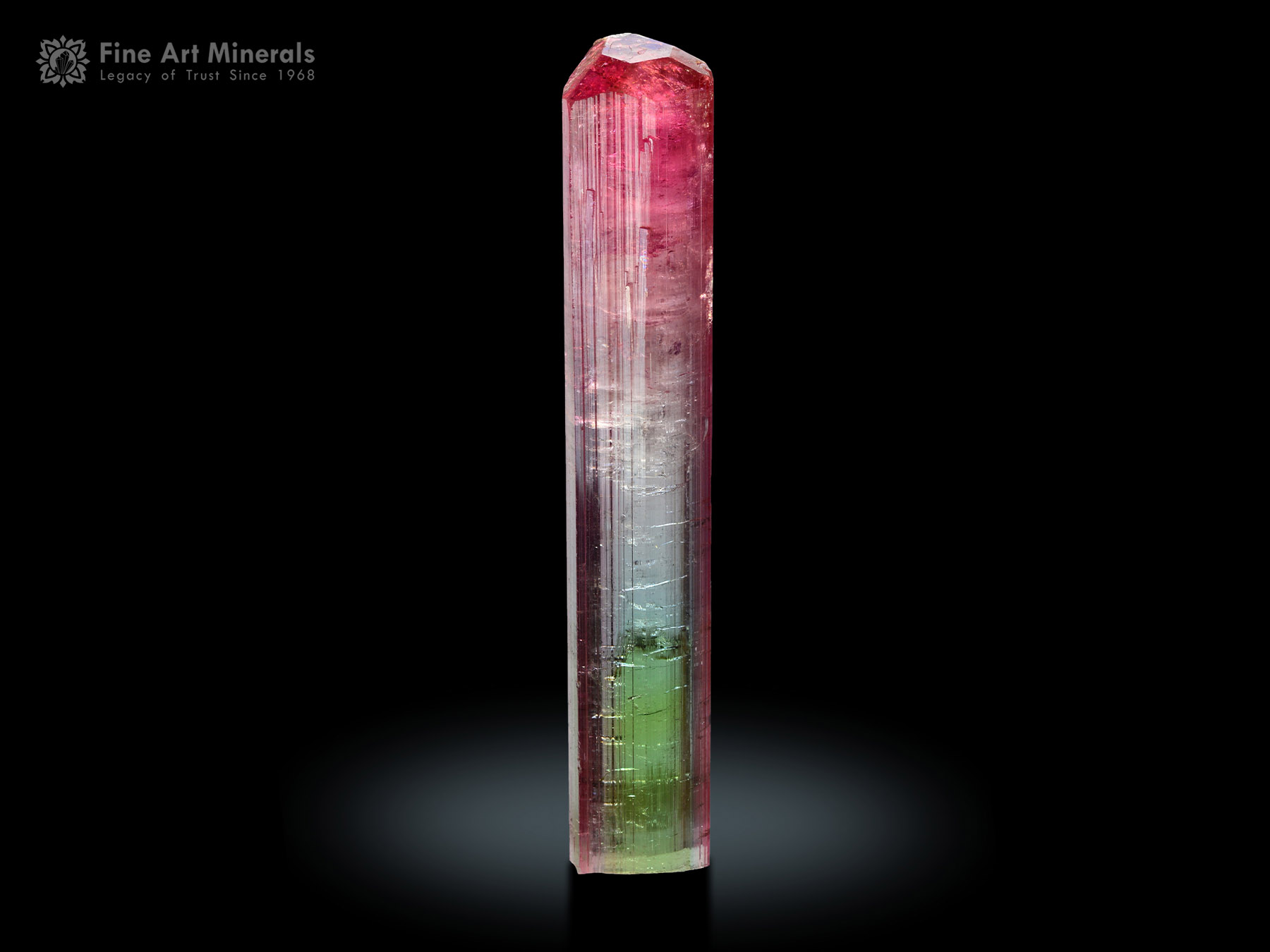 Bi Color Tourmaline Crystal from Cruzeiro Mine Brazil