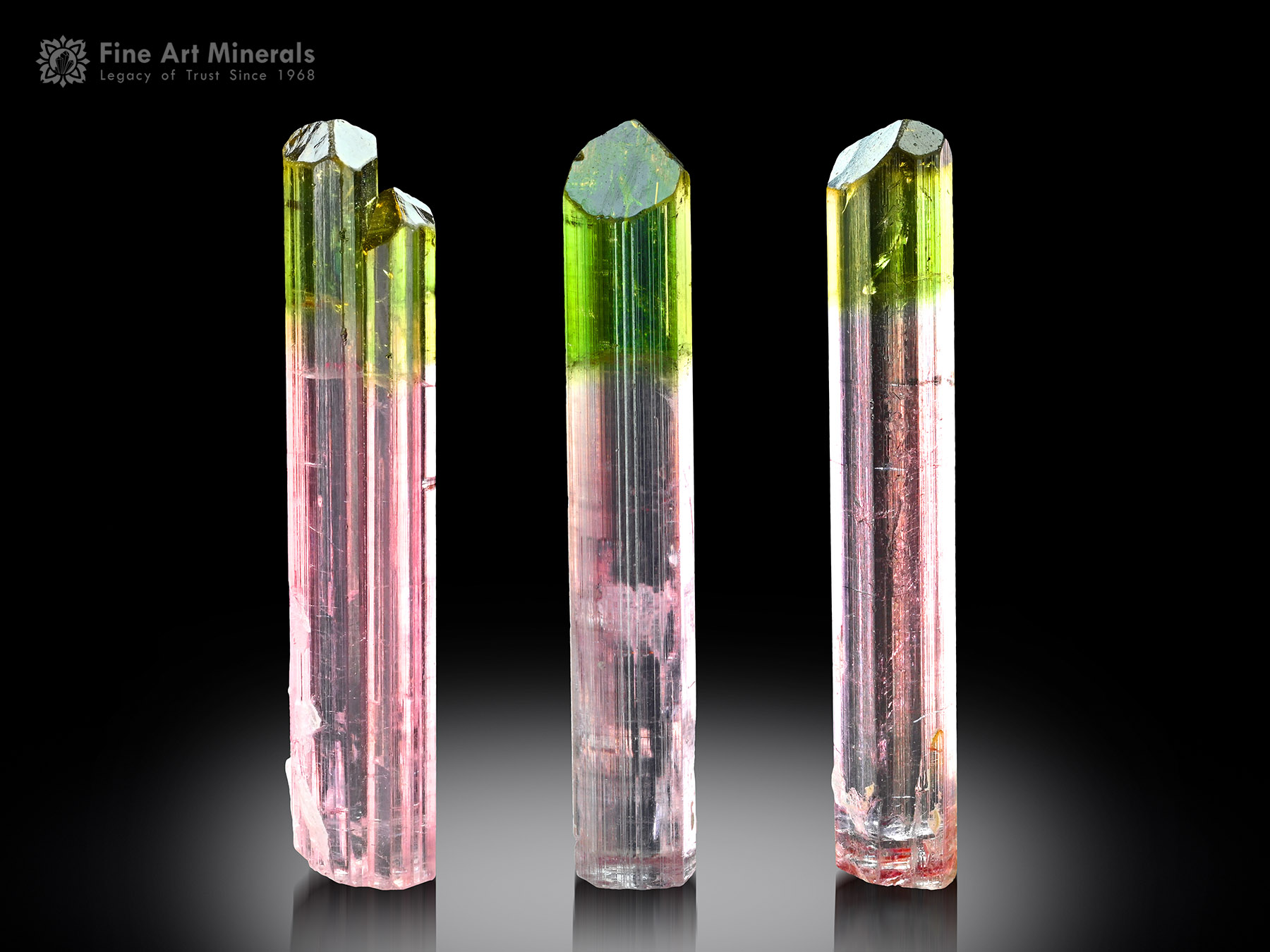 Bi Color Tourmaline Lot from Paprok Afghanistan