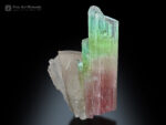 Bi Color Tourmaline with Quartz from Afghanistan