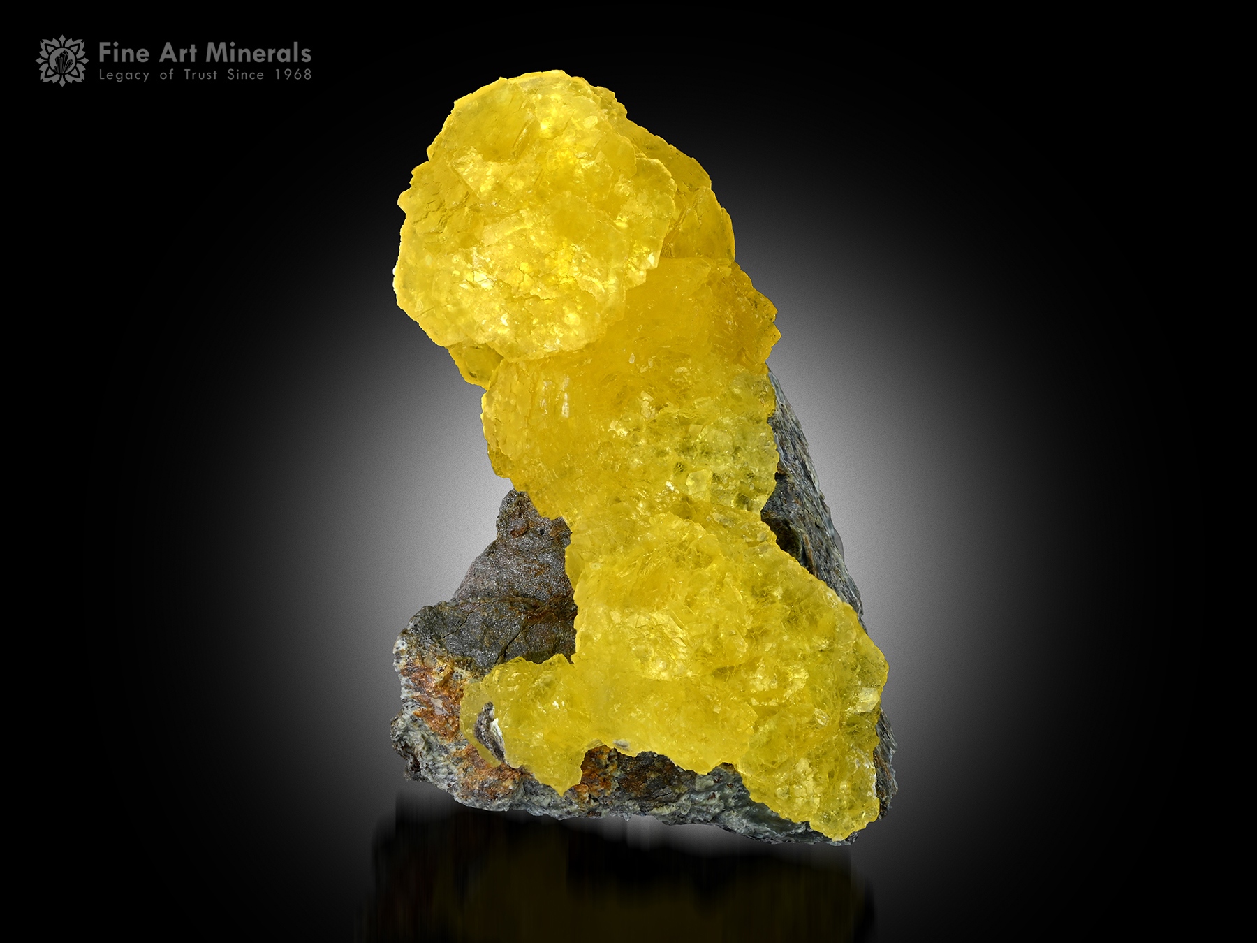 Yellow Brucite from Baluchistan Pakistan - BRC-19 - Fine Art Minerals