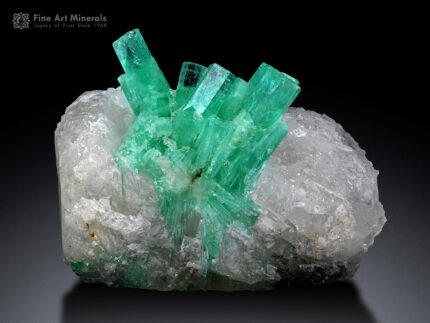 Emerald Cluster on Quartz from Swat Pakistan