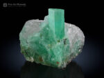 Emerald on Quartz from Chitral Pakistan