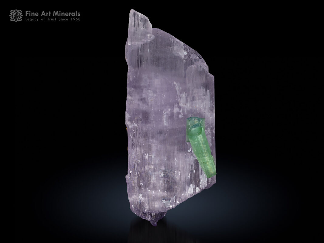 Kunzite Crystal with Tourmaline from Afghanistan