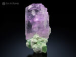 Kunzite with Tourmaline on Matrix from Afghanistan