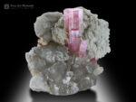 Pink Tourmaline with Quartz and Albite from Afghanistan