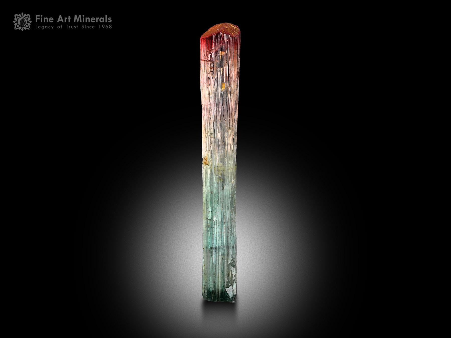 Tourmaline Crystal from Afghanistan