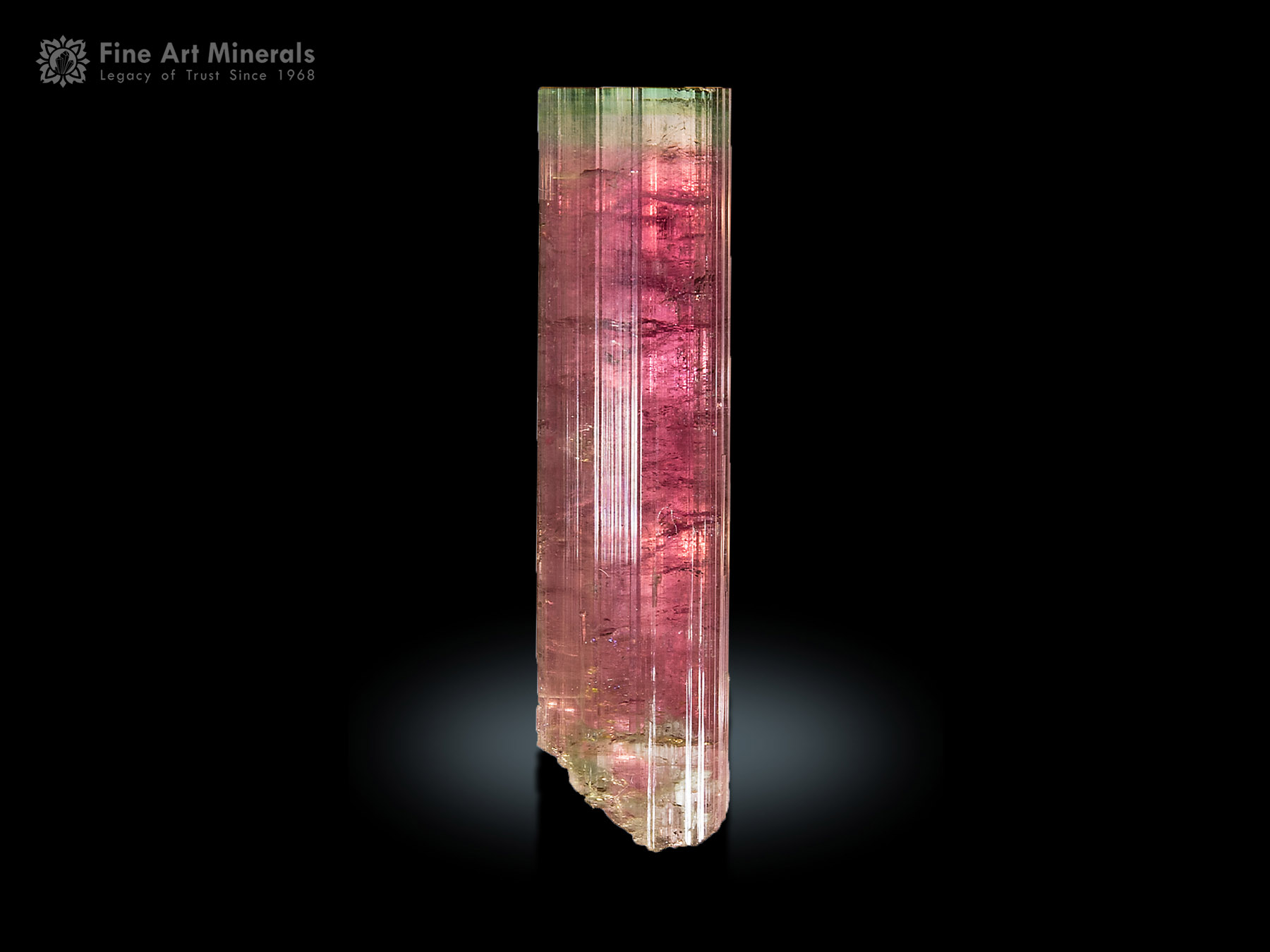 Tourmaline Crystal from Brazil.