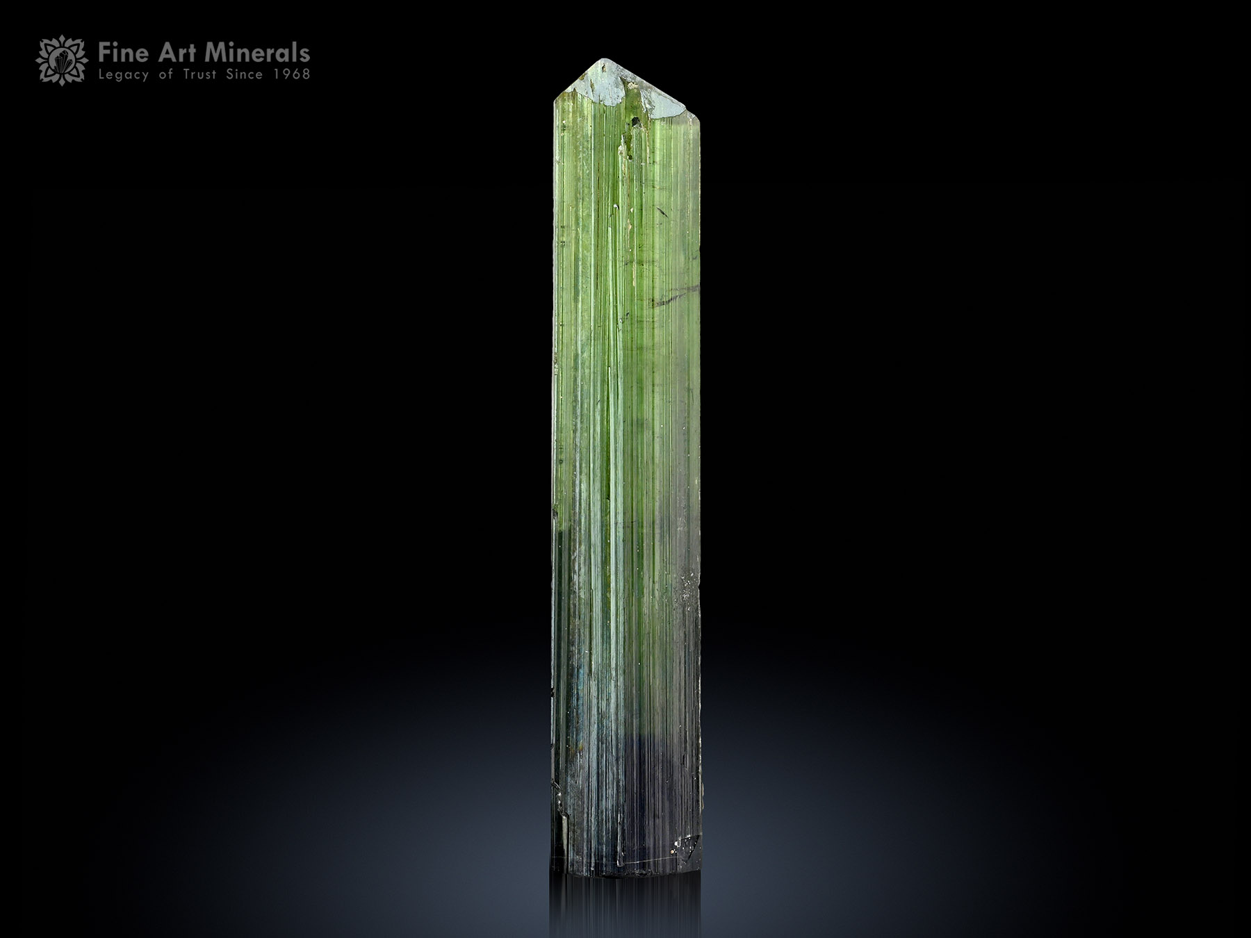 Tourmaline Crystal from Pakistan.Video