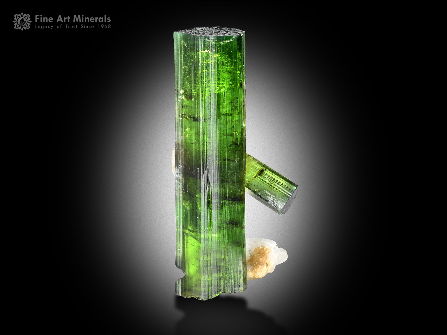 Tourmaline Crystal with Albite from Brazil