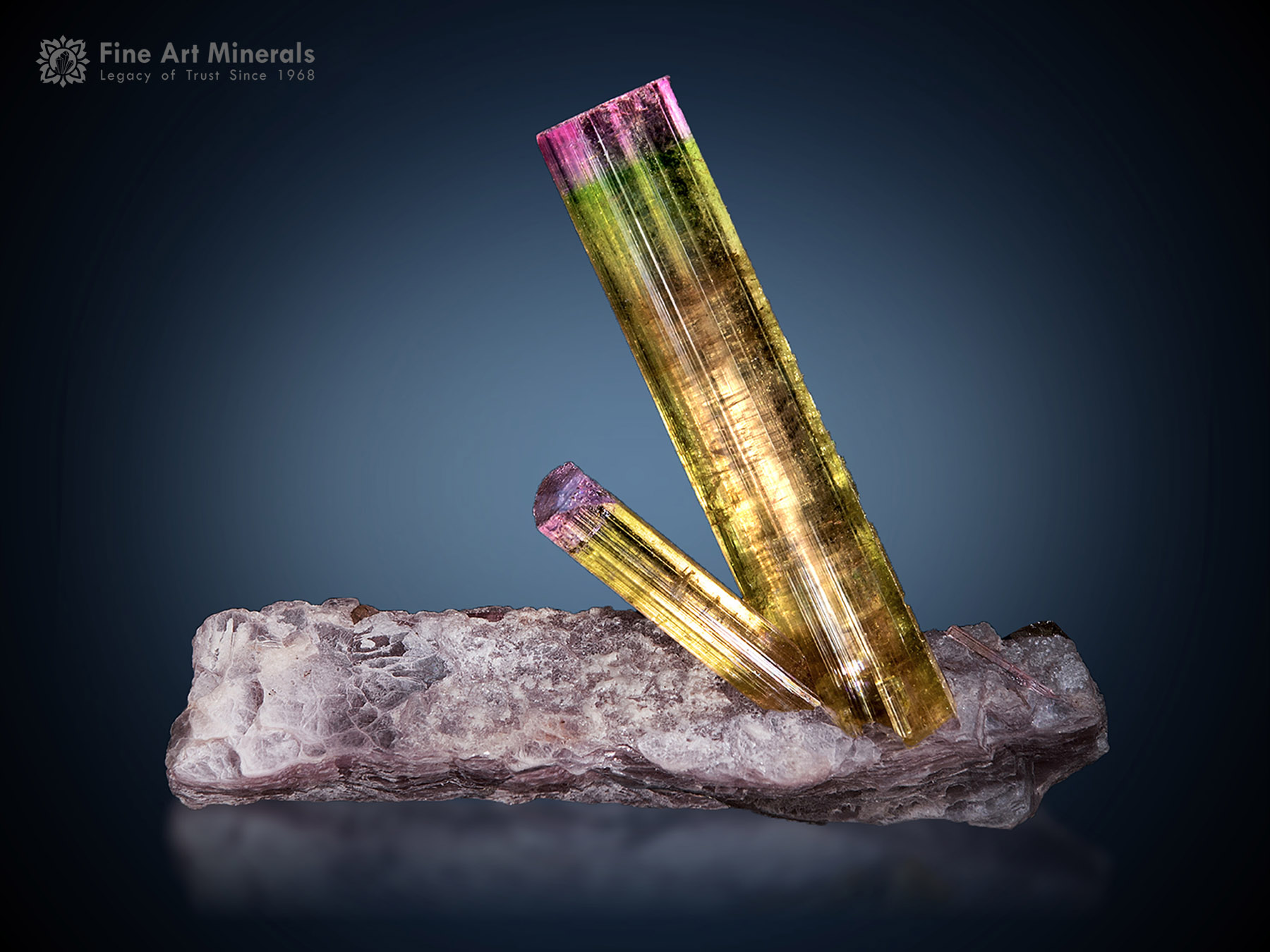 Tourmaline on Matrix from Afghanistan