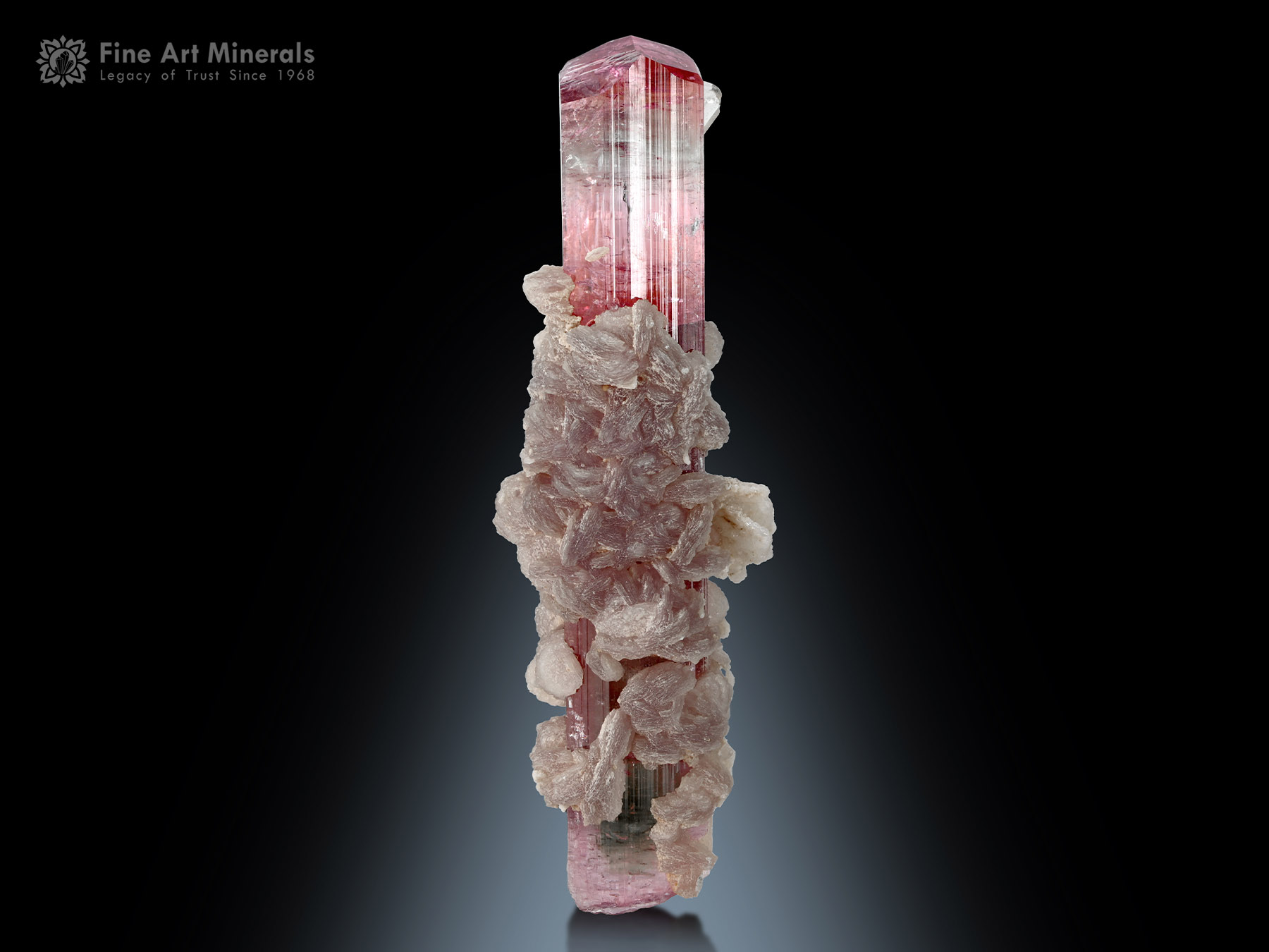 Tourmaline with Lepidolite from Afghanistan