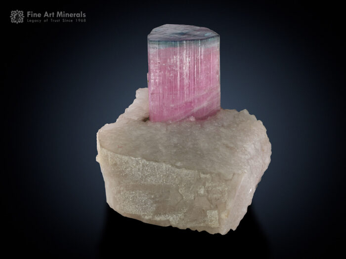 Tourmaline with Microlite and Quartz from Afghanistan