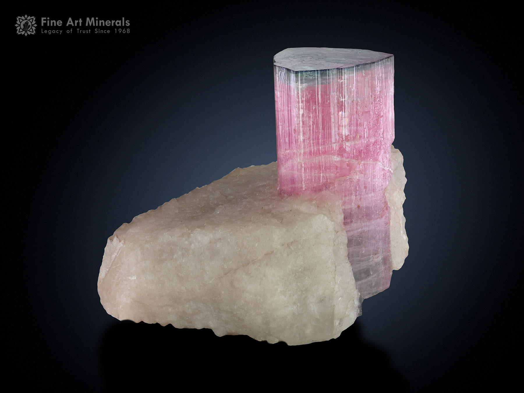 Tourmaline with Microlite and Quartz from Afghanistan