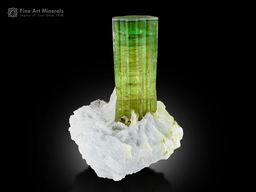 Tourmaline with quartz from Paprok, Nuristan, Afghanistan.