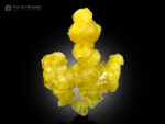 Yellow Brucite from Baluchistan Pakistan