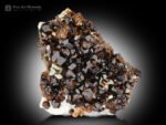 Andradite Garnet on Matrix from Pakistan