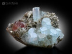 Aquamarine with Apatite and Muscovite from Pakistan