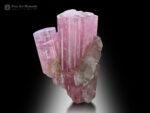 Pink Tourmaline with Quartz from Afghanistan