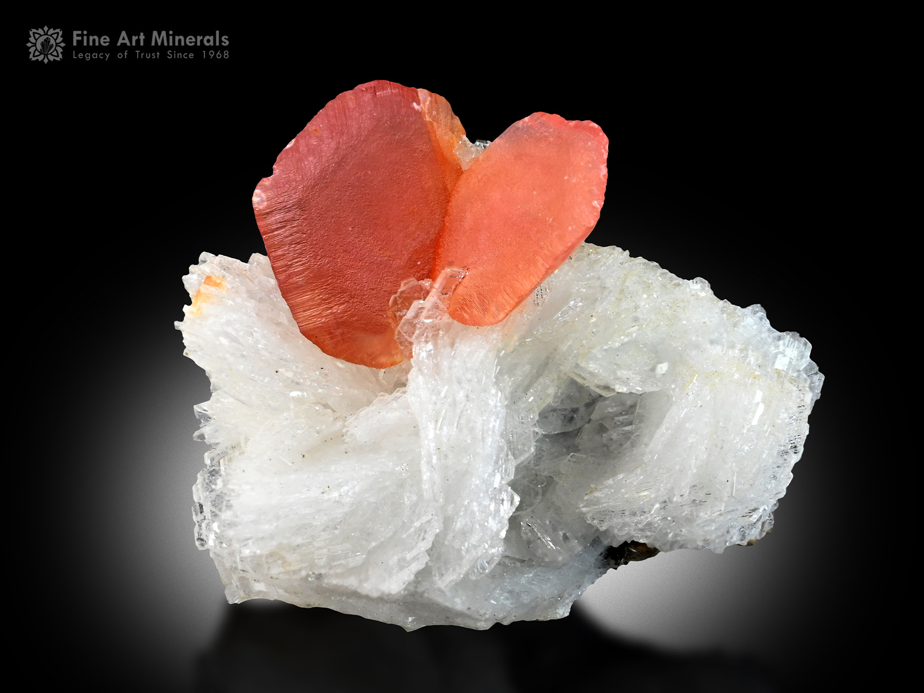 Rhodochrosite with Albite from Pakistan