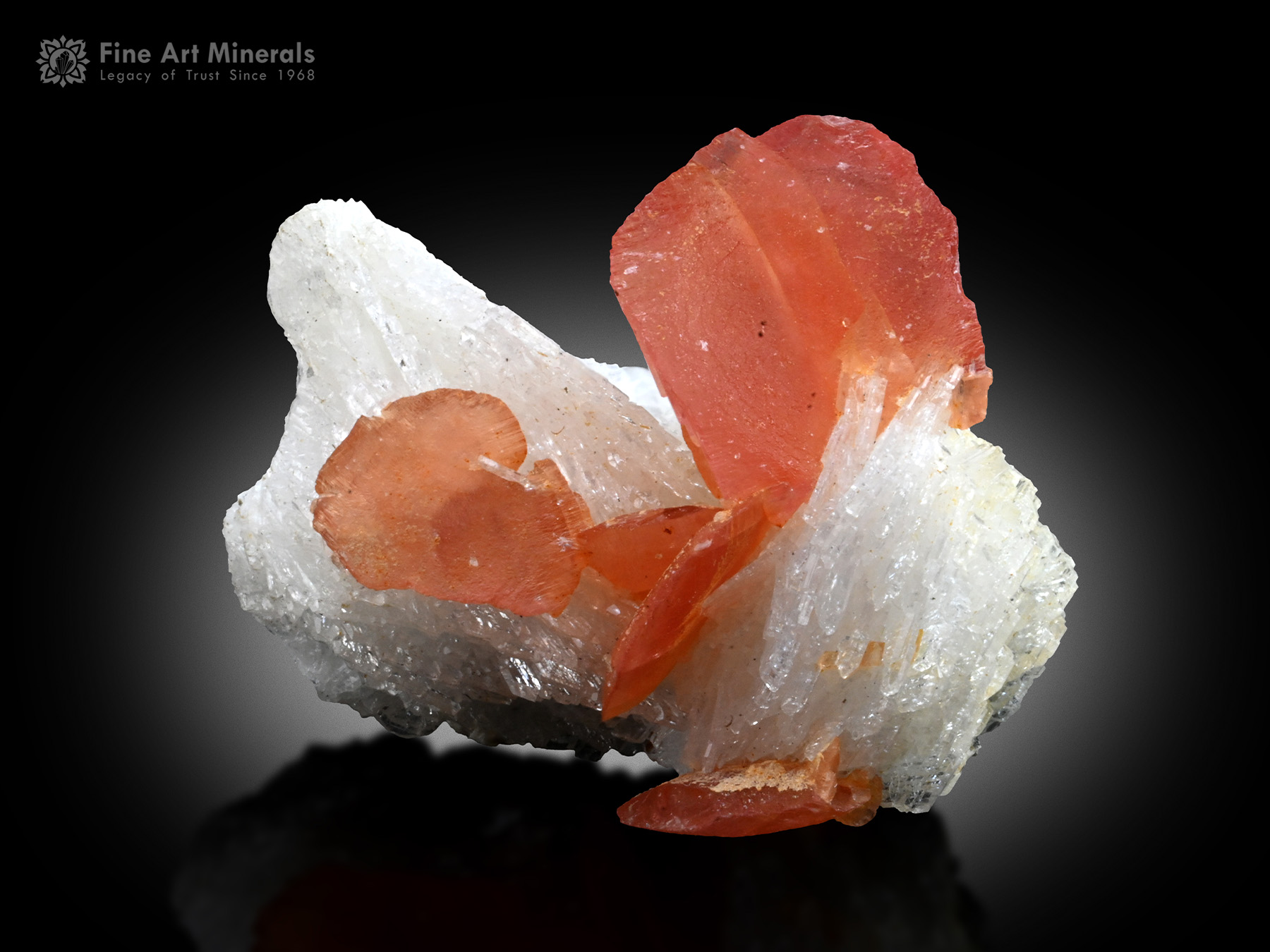 Rhodochrosite with Tourmaline and Albite