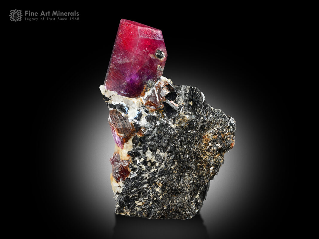 Ruby on Matrix from Afghanistan