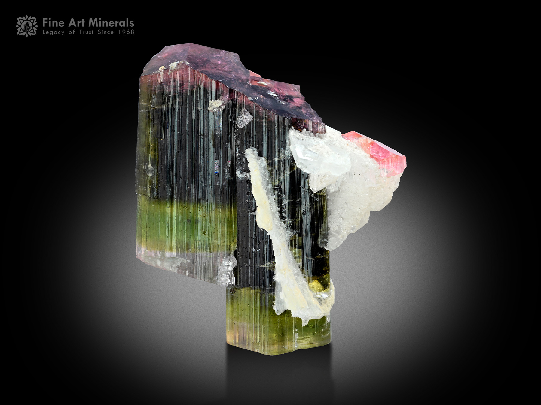 Schorl with Muscovite and Albite from Pakistan