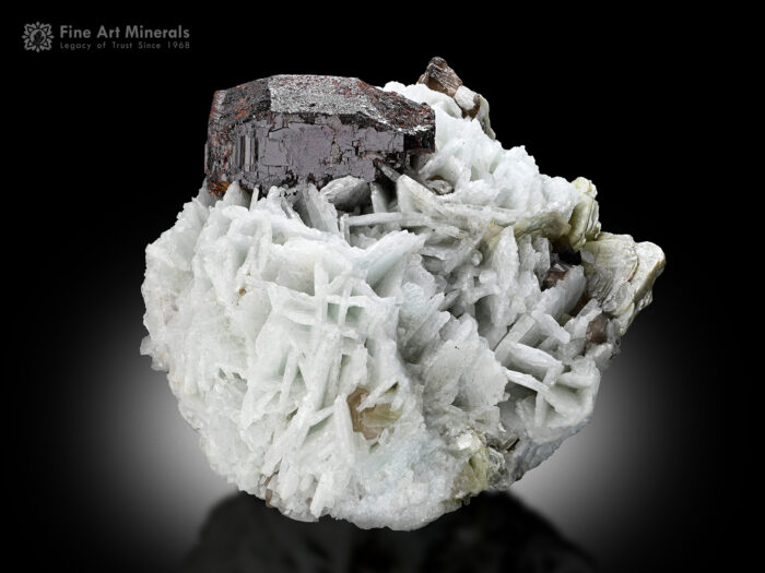 Tantalite-(Mn) with Cleavelandite from Afghanistan