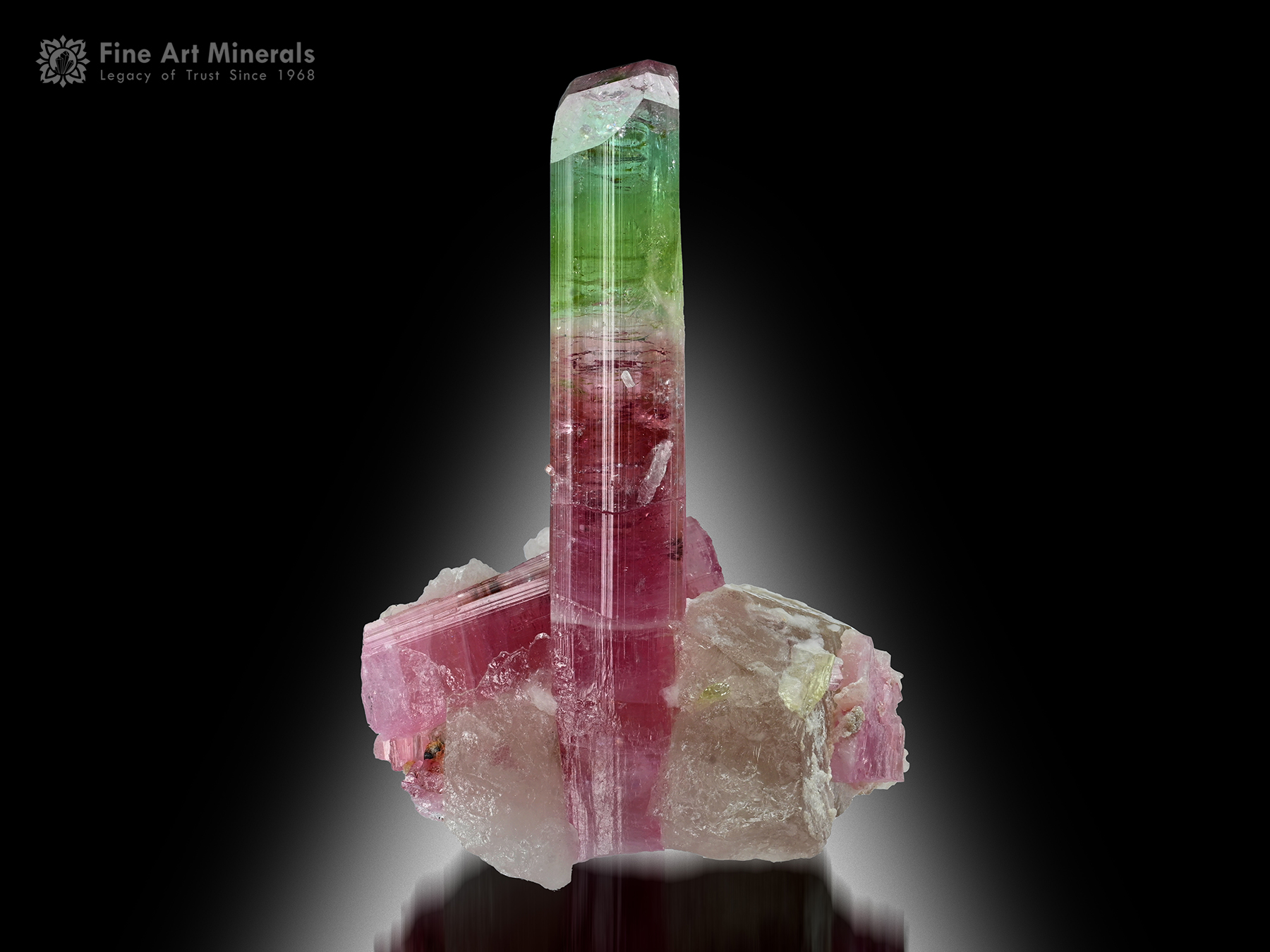 Tourmaline with Quartz from Afghanistan