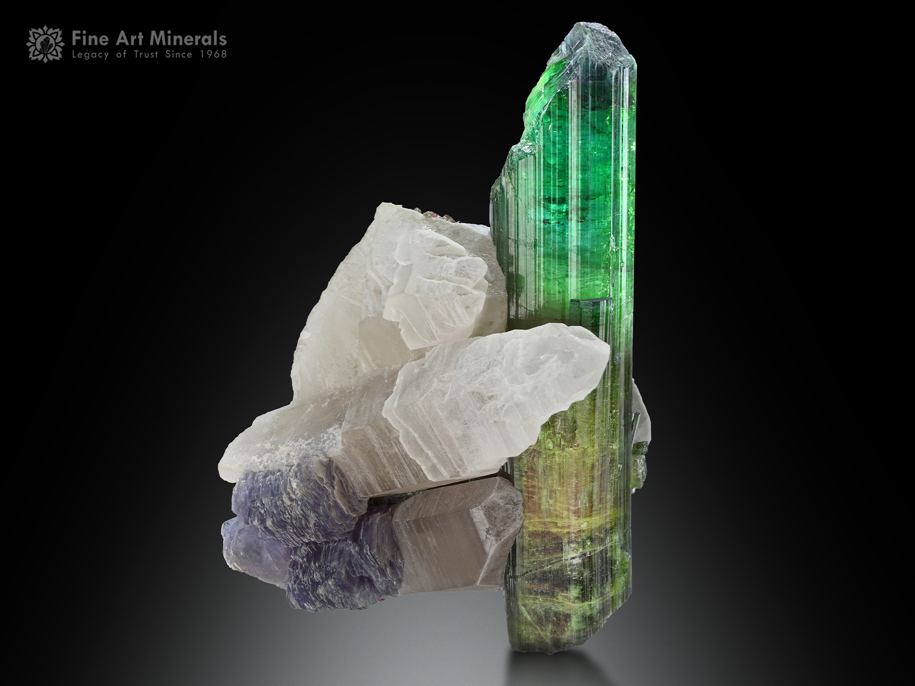 Tourmaline with Quartz from Brazil