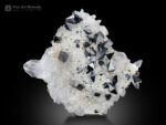 Anatase cluster with Quartz on Matrix