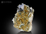 Anatase with Quartz on Matrix