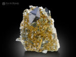 Anatase with Quartz on Matrix