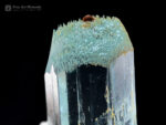 Aquamarine with Spessartine and Albite