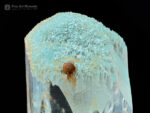 Aquamarine with Spessartine and Albite