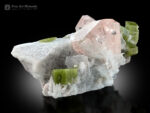 Morganite with Herderite on Matrix