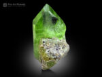 Peridot with Ludwigite Inclusions from Pakistan