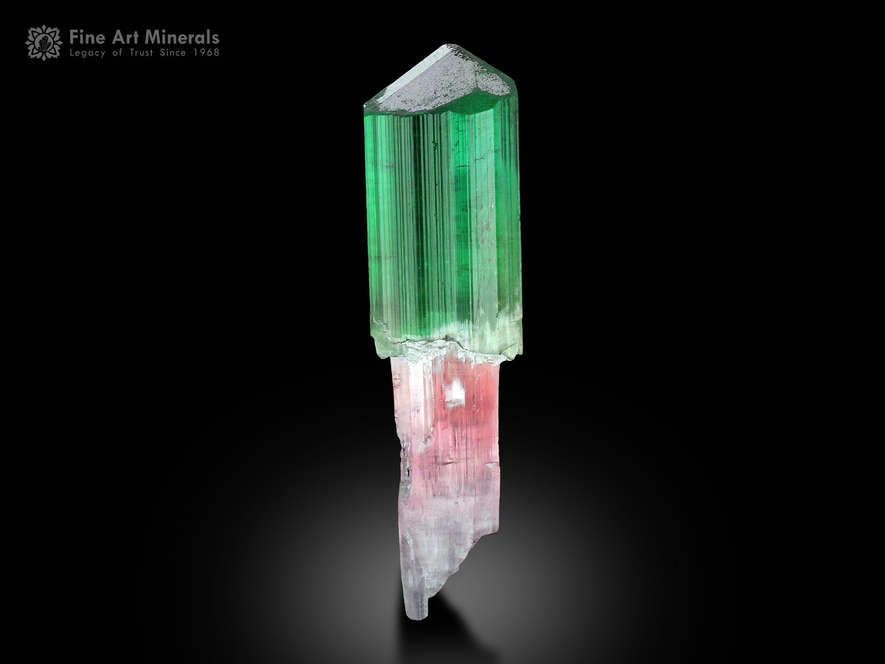 Scepter Tourmaline from Afghanistan