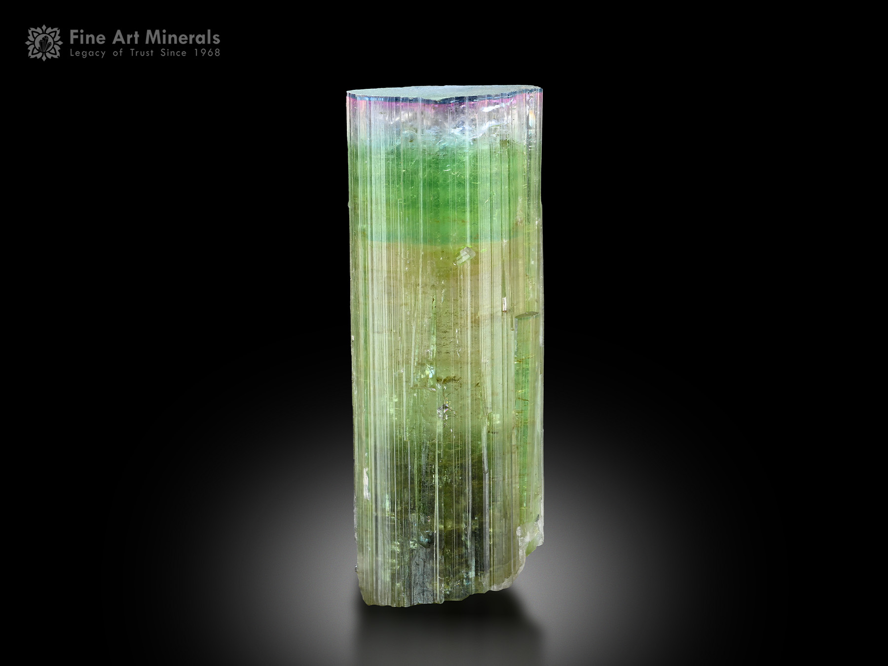 Tourmaline Crystal from Afghanistan