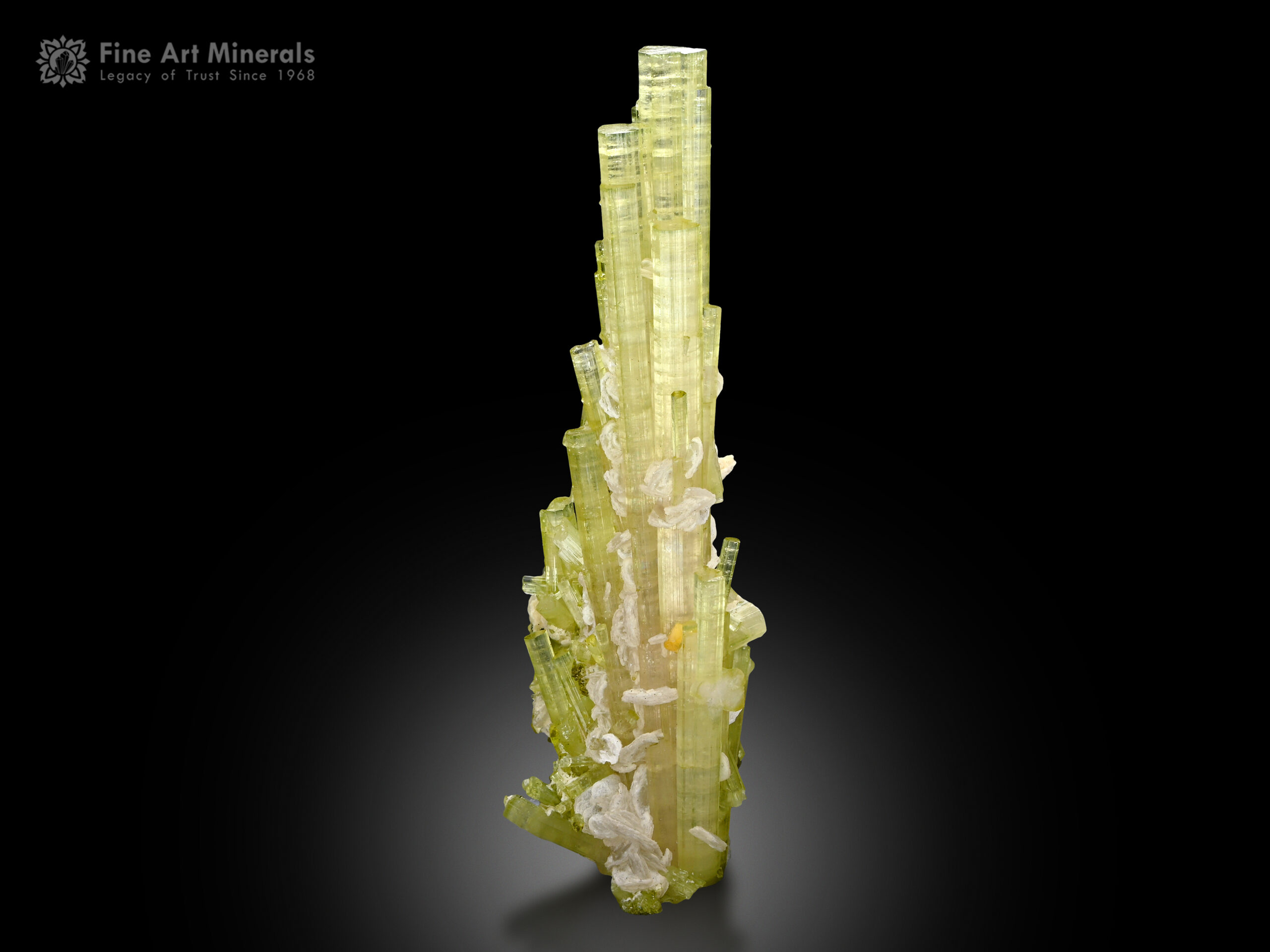 Tourmaline with Albite from Pakistan